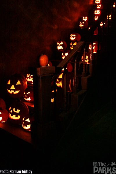 Knotts Scary Farm 13 Maze Review