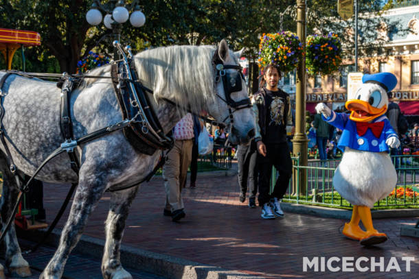 , Disneyland Update &#8211; Snow, Show &#038; Grow