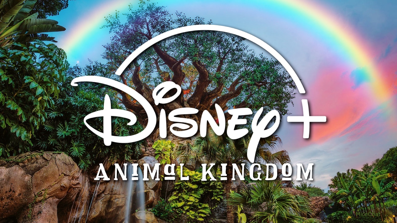 New Animal Kingdom Documentary Series Narrated by Josh Gad Headed to Disney  Plus