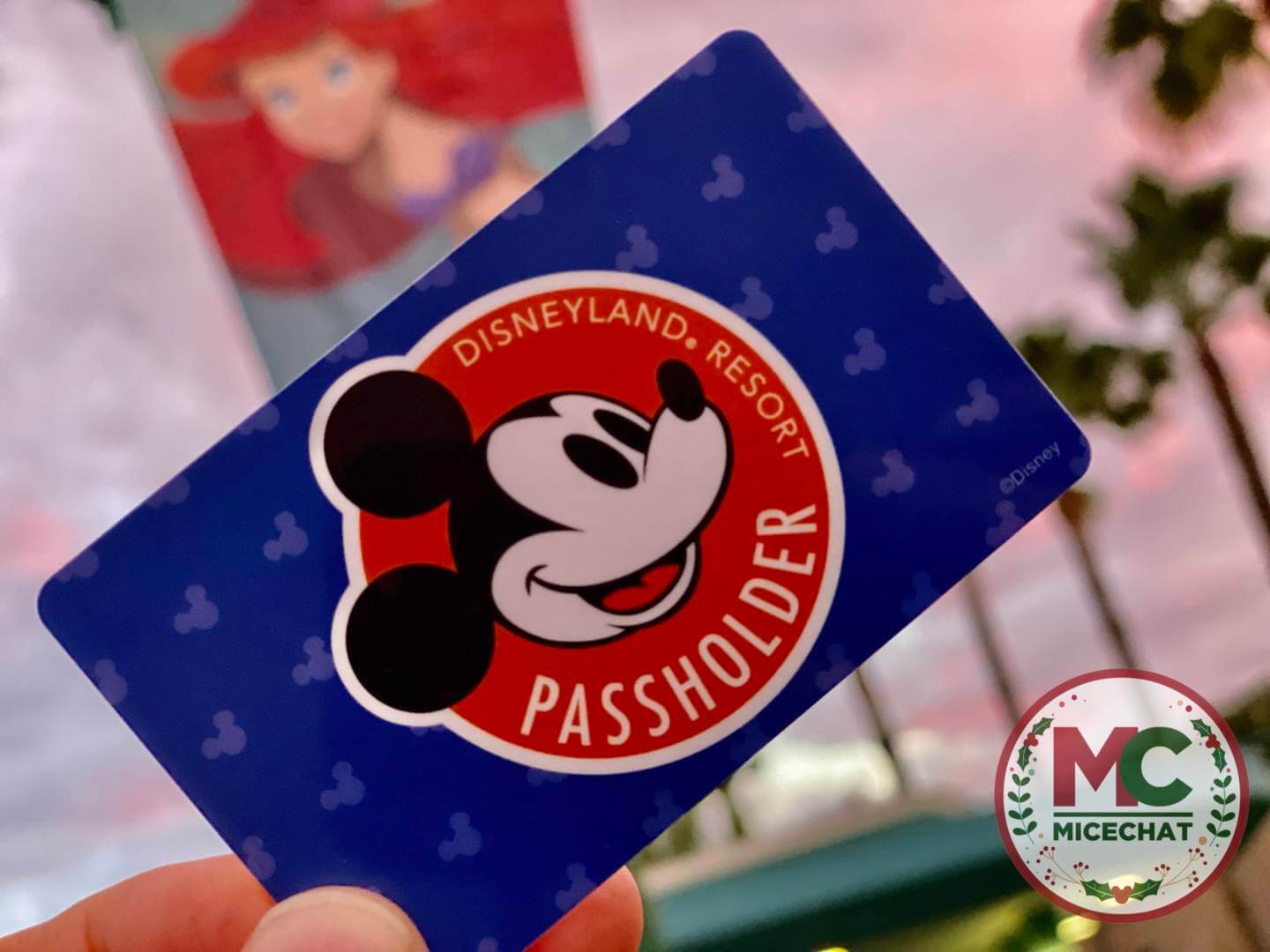 BREAKING NEWS: Disneyland Annual Pass Program Ending!