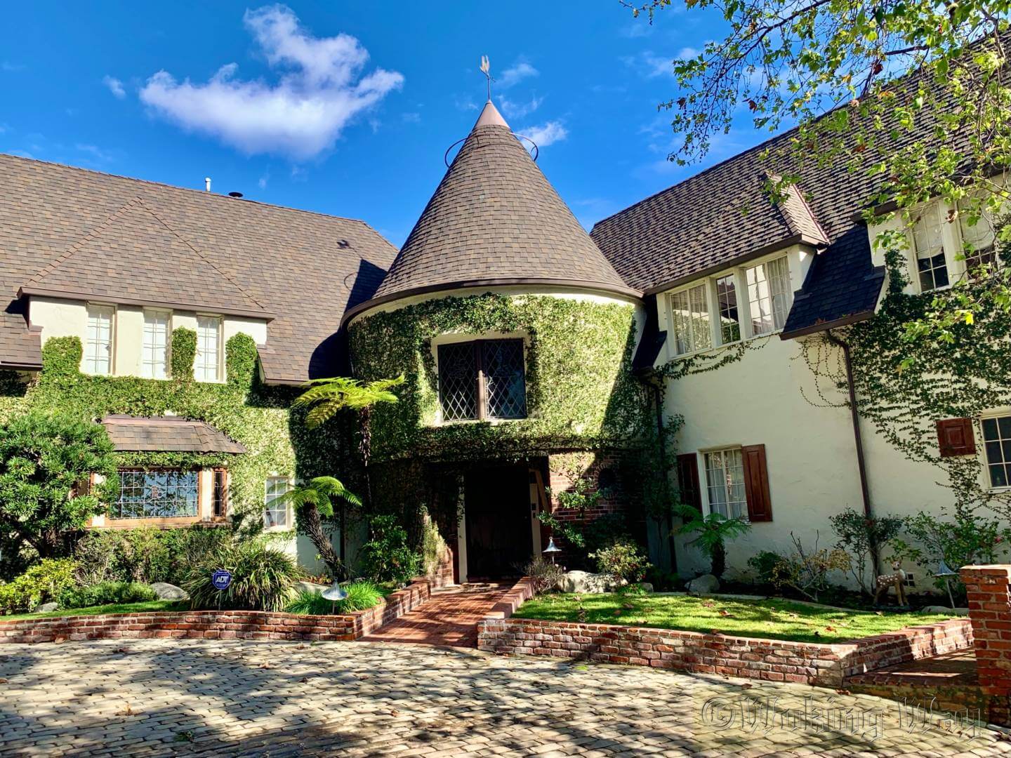 , Disneyland Update – Electric Entertainment, Magic Key Blues & Rumors Too