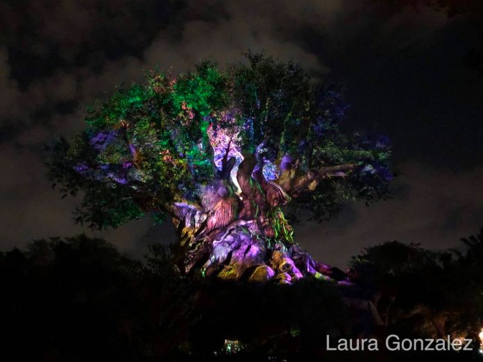 The Secrets of the Tree of Life at Disney's Animal Kingdom