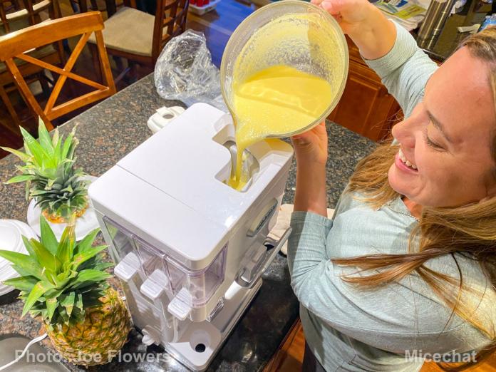 Dole Whip, Disney Taste Test!  Comparing 3 Official DIY Dole Whip Recipes