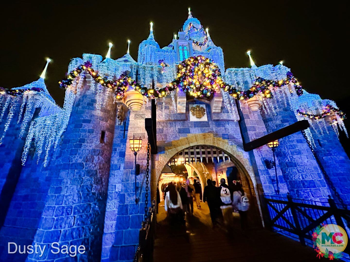 Disney Park Unveils Massive Change to Castle After Being Hidden For Months  - Inside the Magic