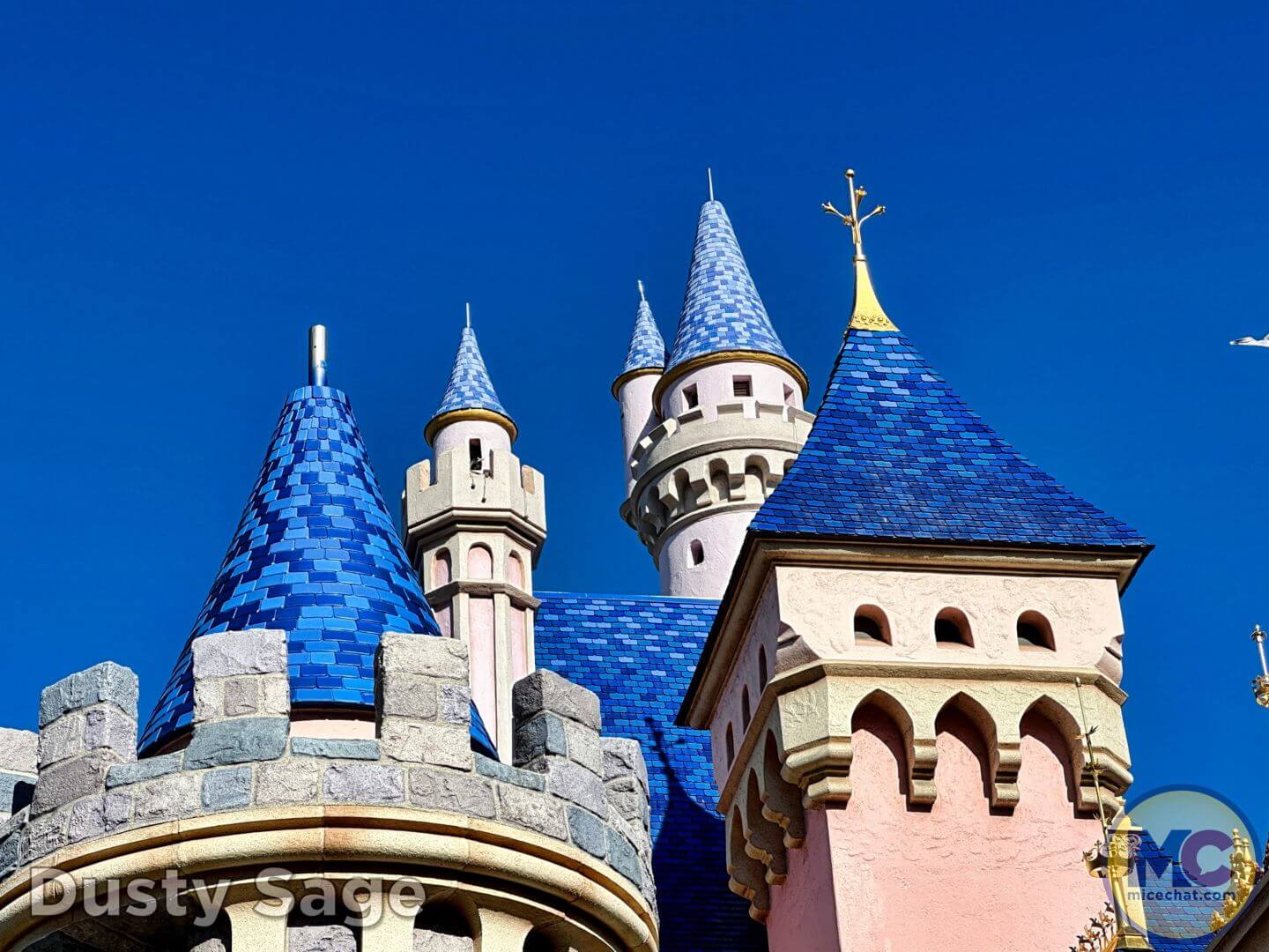 PHOTOS: High Winds Damage Sleeping Beauty Castle at Disneyland Paris; Force  Closure