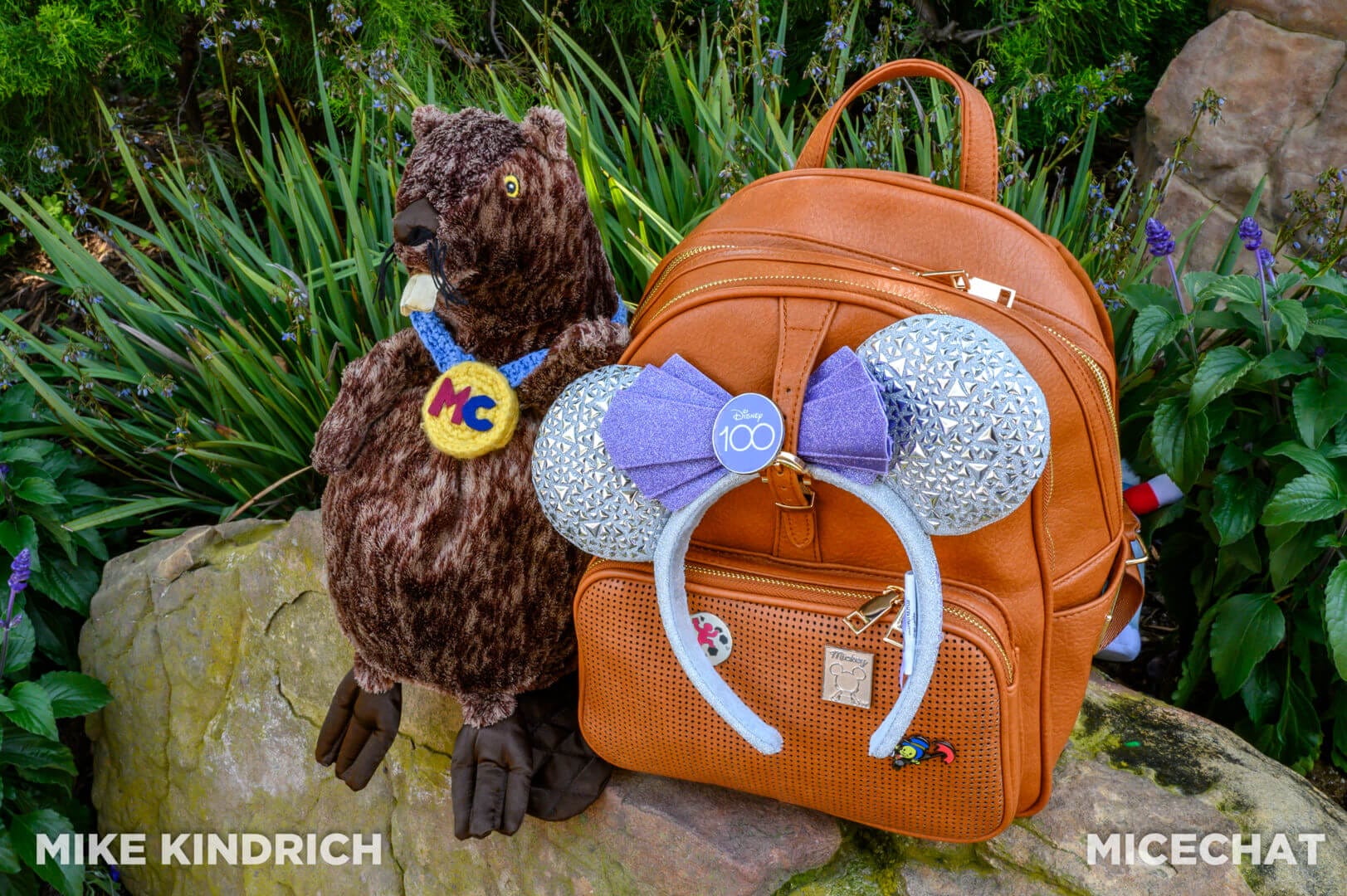 Meet the Rope Drop Backpack, Your Next Disney Parks Day Bag