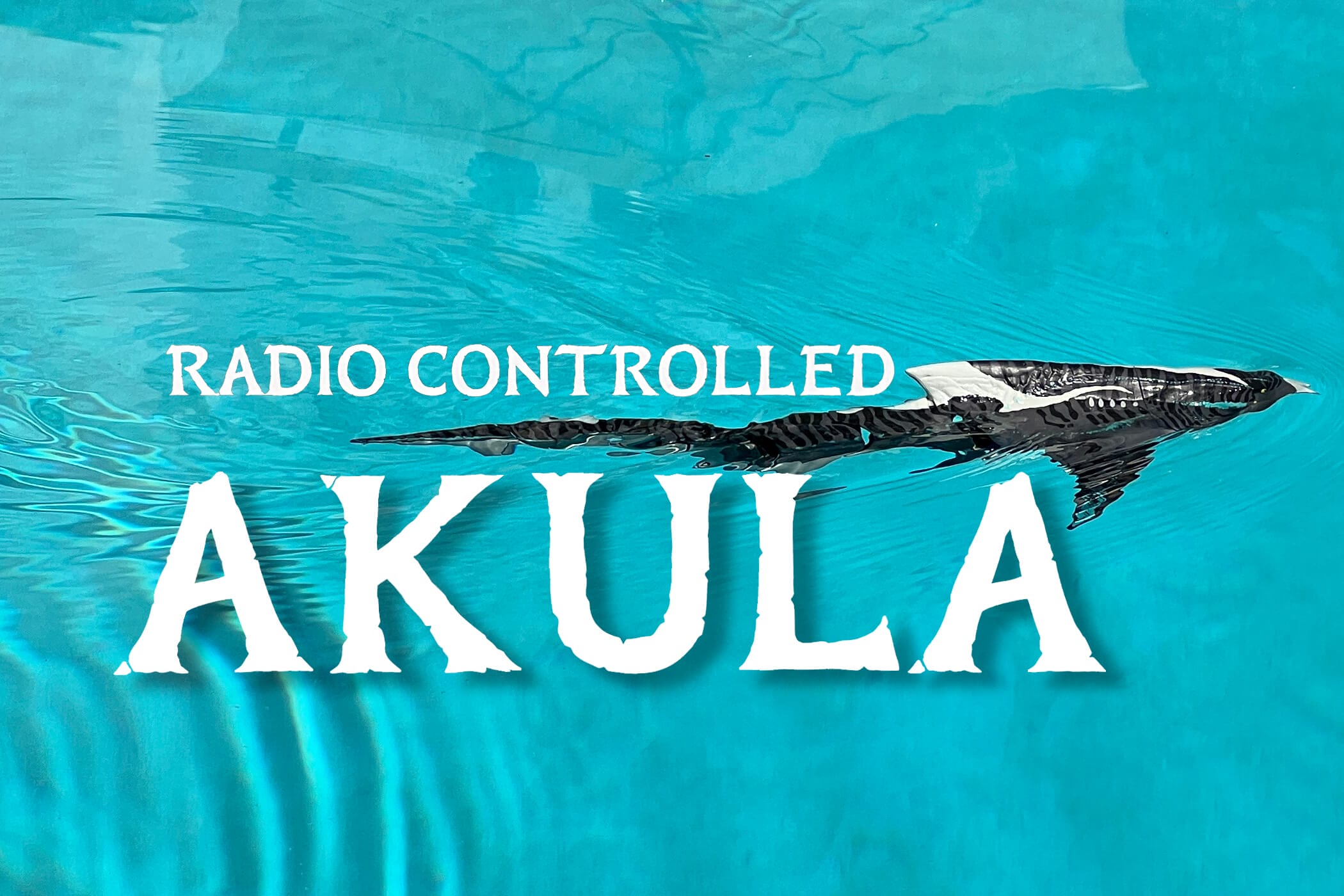 , MiceAge – A Different Look at Disney